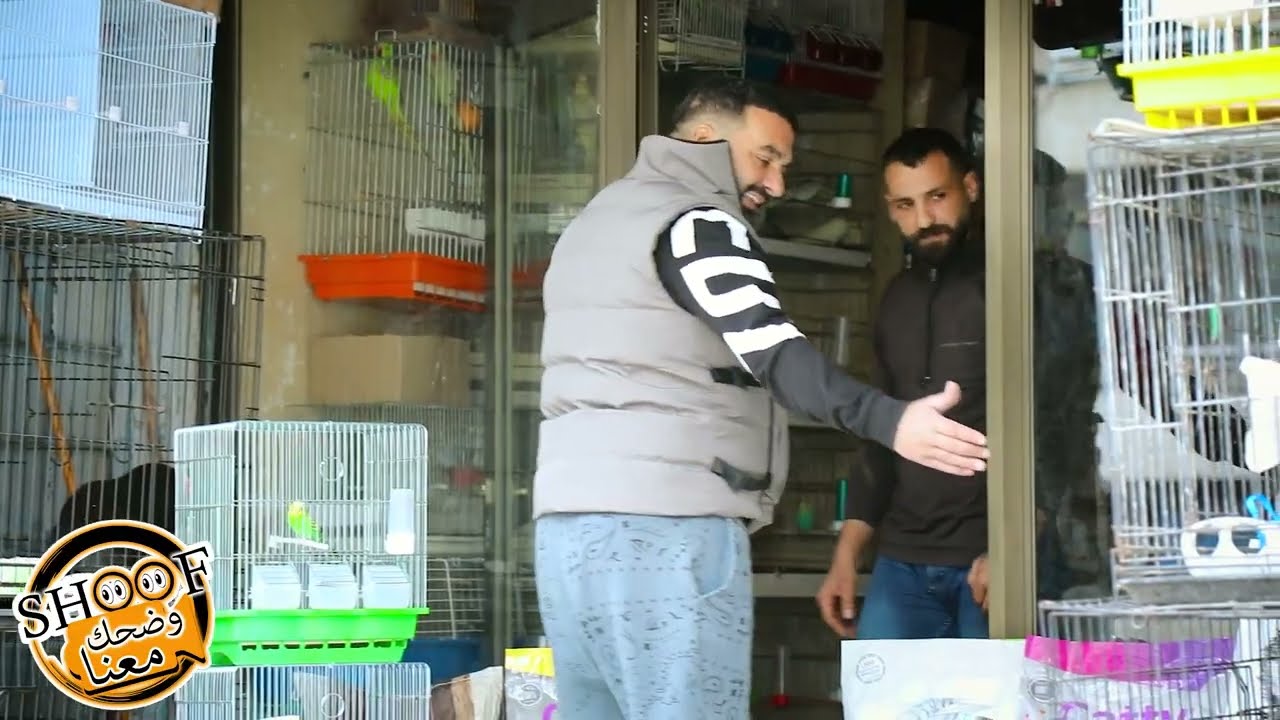 اقوى مقلب \\ كاميرة خفية \\ طارو عصافير الحب 🐦🦜🤣🤣