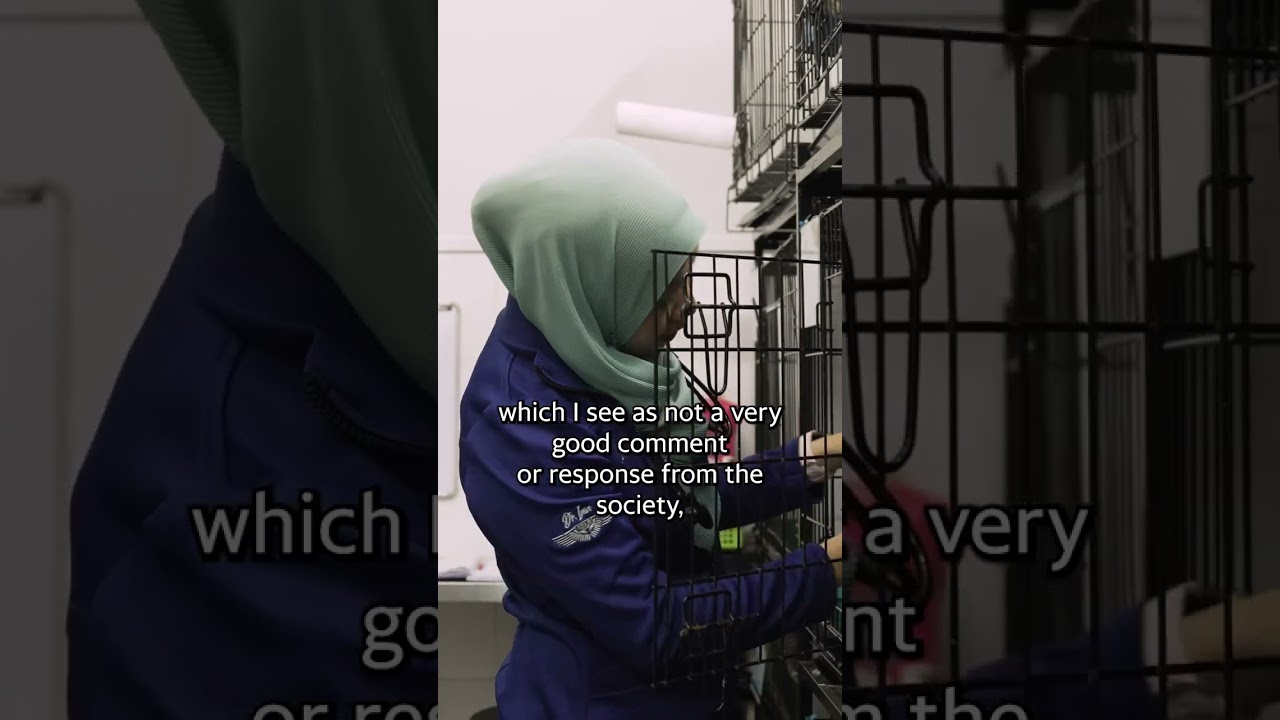Muslim Vet shares her experience from treating dogs in Malaysia #shorts