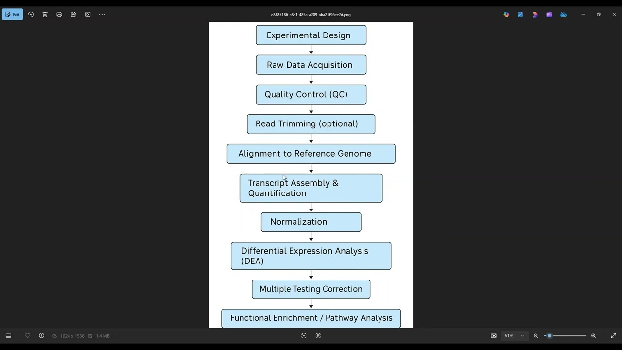 RNA-Seq Data Analysis for Biologists - No programming Required - L1