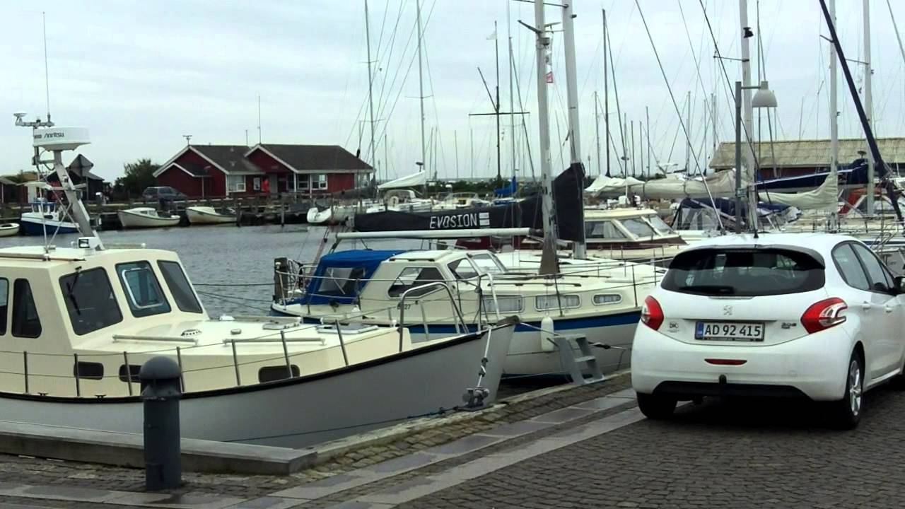 Mit Hund in &Aring;rgab, D&auml;nemark