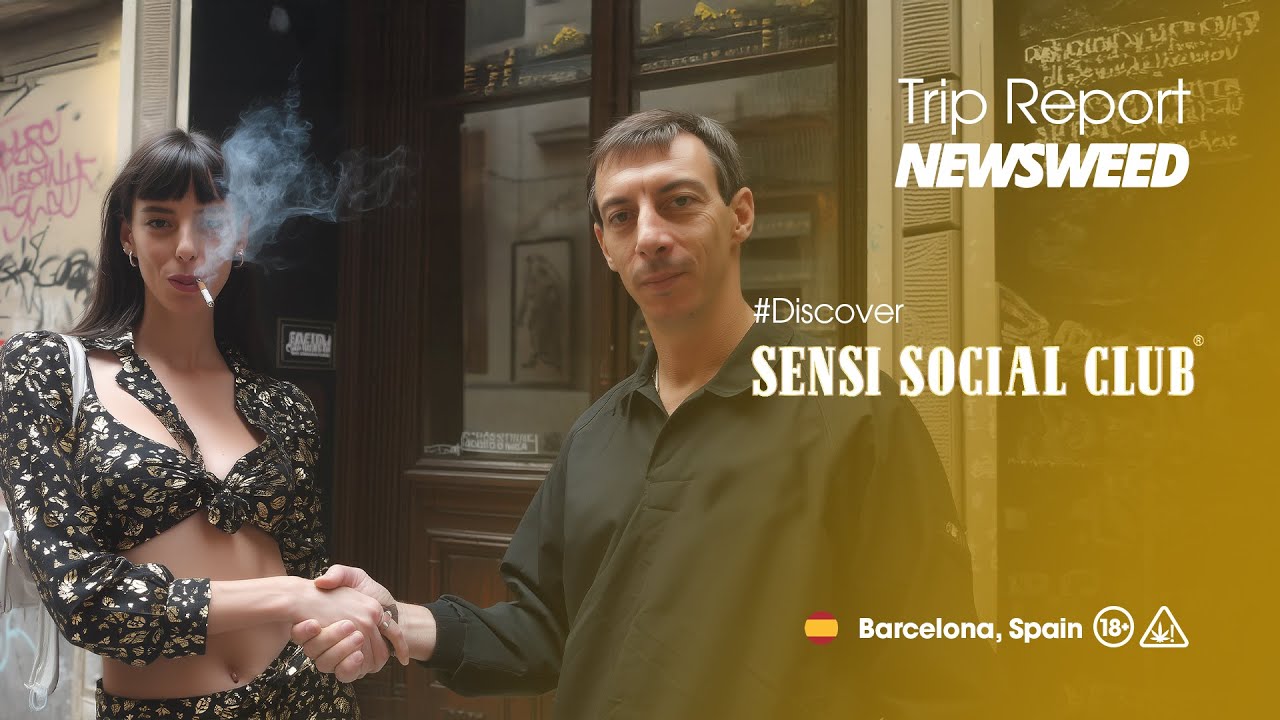 &Agrave; l'int&eacute;rieur du Sensi Social Club 🌿 D'Amsterdam &agrave; Barcelone | Dans le Club