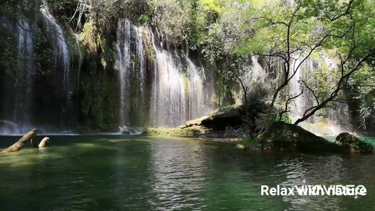 Nature video for relaxiation #relaxationvideos #nature