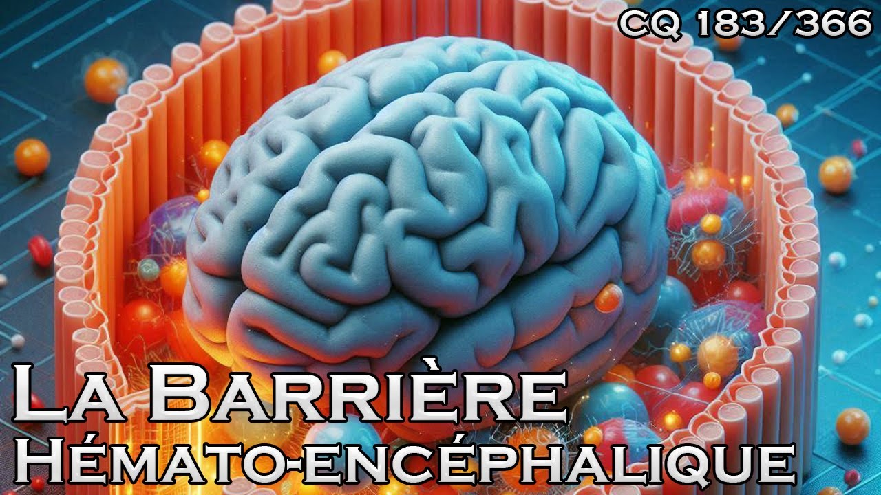 La Barri&egrave;re h&eacute;mato-enc&eacute;phalique - CQ#183