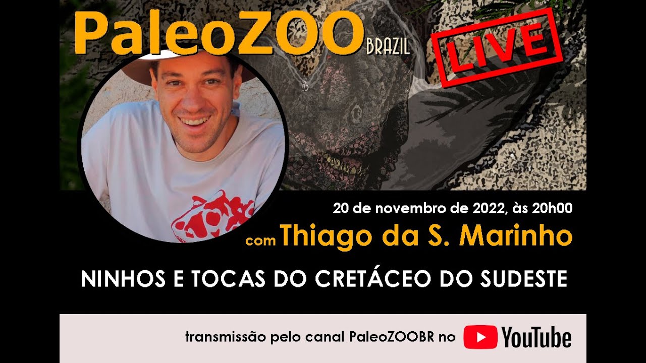 NINHOS E TOCAS DO CRETÁCEO DO SUDESTE - COM THIAGO MARINHO