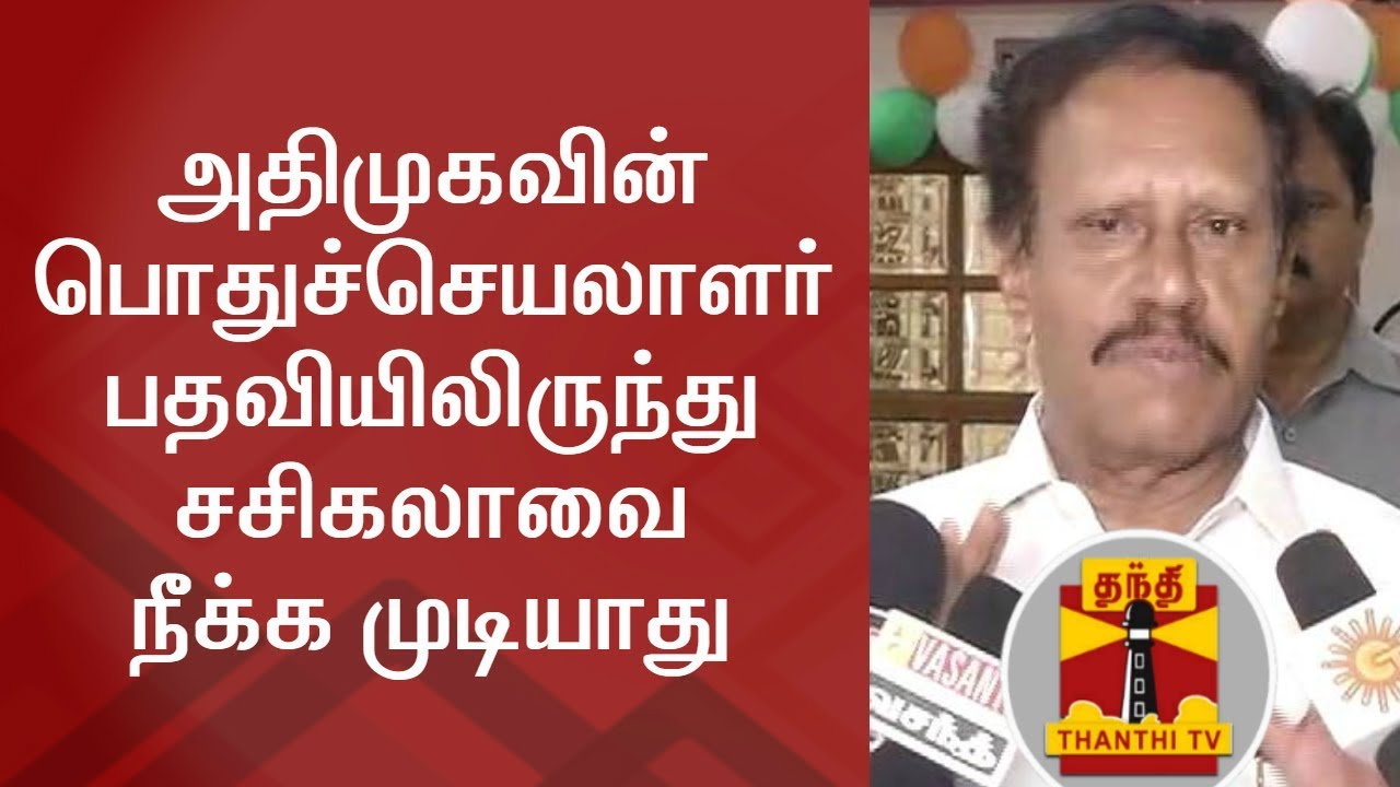 No One has right to remove Sasikala as AIADMK Chief - Thambidurai | Thanthi TV