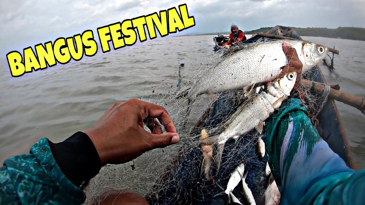 BANGUS FESTIVAL NANAMAN SA LAGUNA LAKE