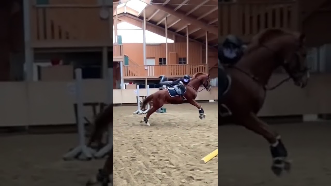 Hope ur ok xx #horses #fall #funny #hopeurok #equestrian #jump #slowmo #shorts #fyp #blowup #like