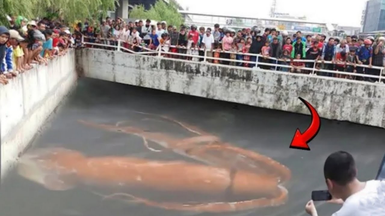 Drohne fliegt über einen verbotenen Fluss und filmt, was niemand sehen sollte!
