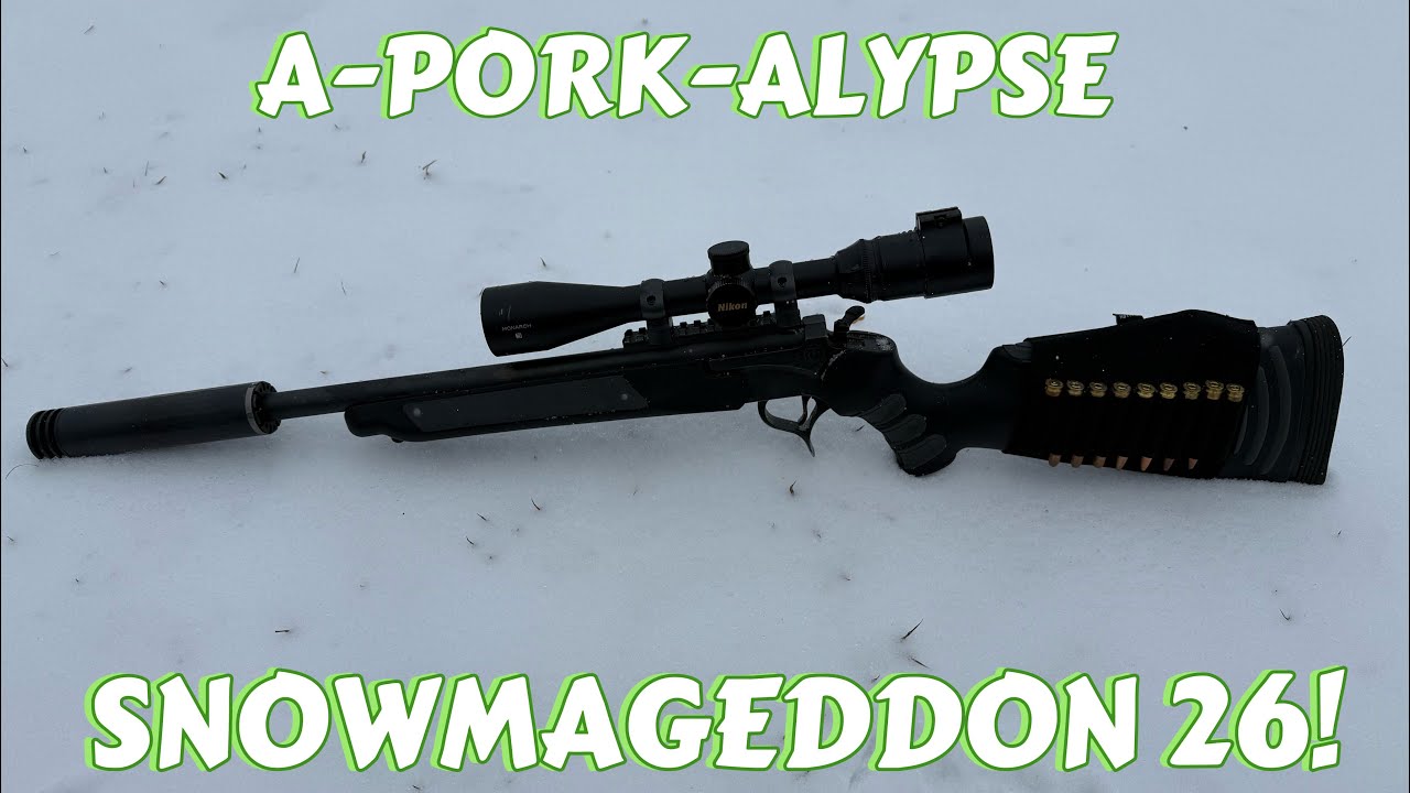 WILD BOAR SPOT & STALK!!! (The perfect spot & stalk rifle everyone needs)