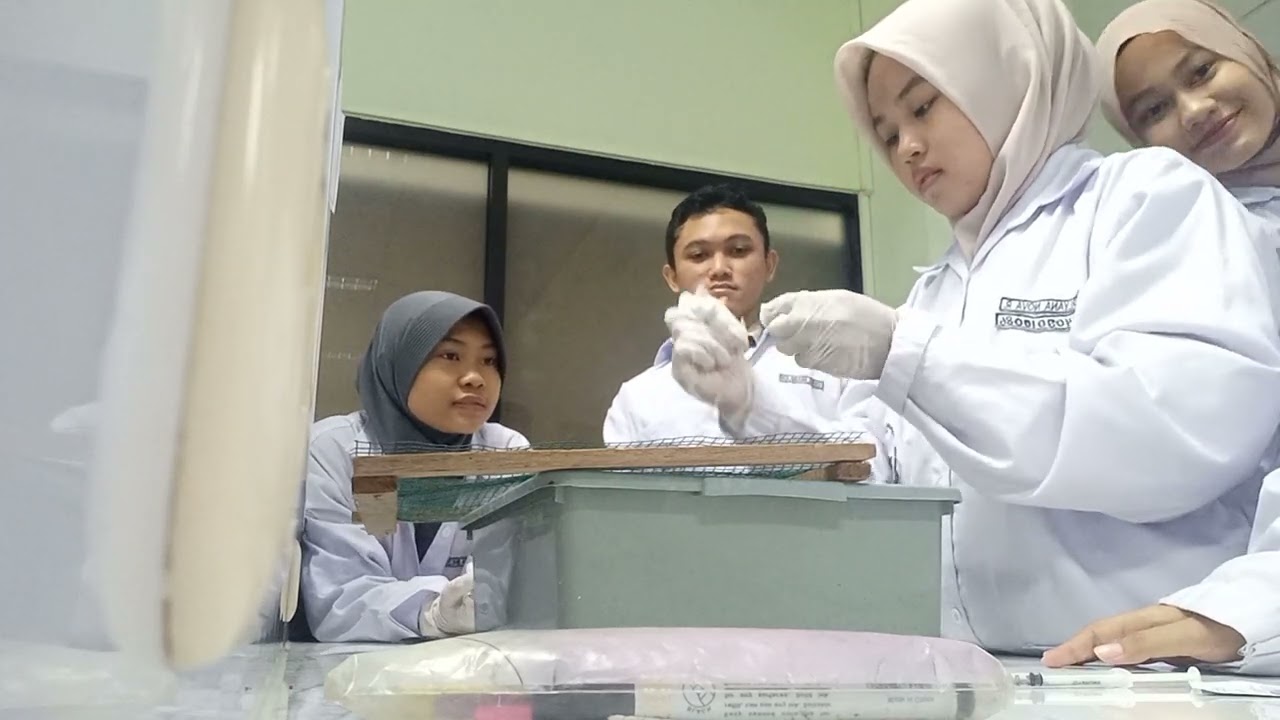 praktikum farmakologi 