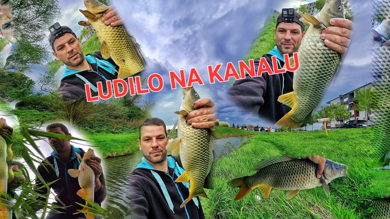 POLUDELI SARANI SA KANALA