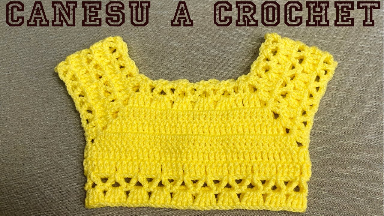 PASO A PASO PARA TEJER CANESÚ A CROCHET