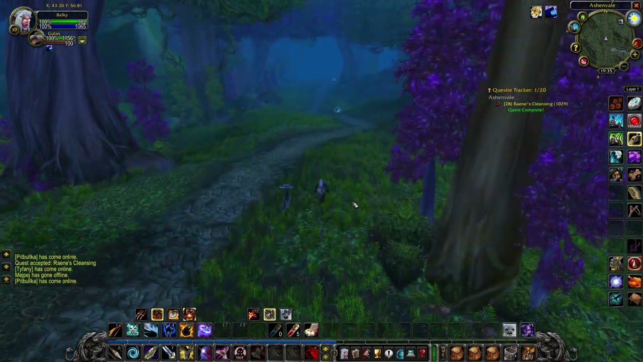 Raene's Cleansing (WOW classic quest)