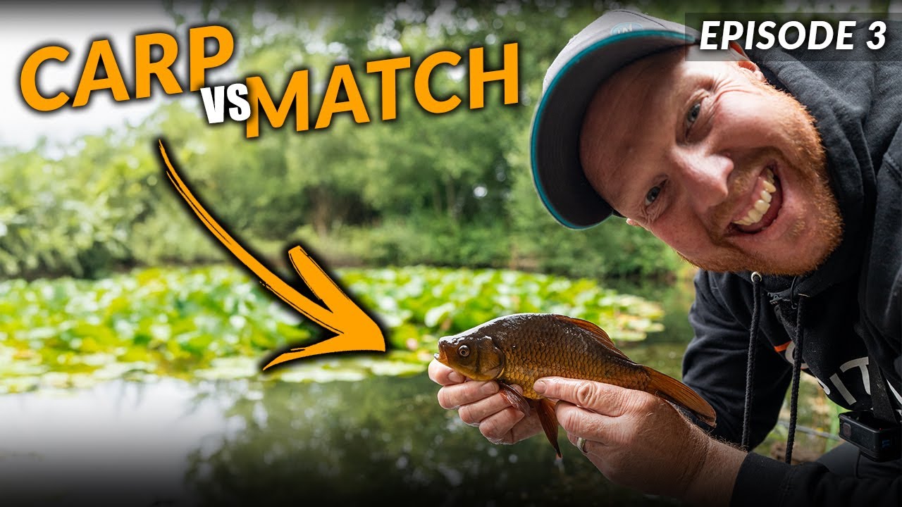 The ULTIMATE Fish Species Hunt! | Carp Anglers Vs Match Anglers #3
