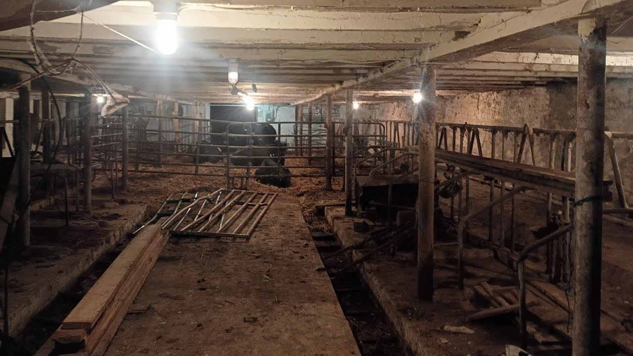 Зимние работы и большие мечты!! Фермерство зимой в Центральной Пенсильвании!!
