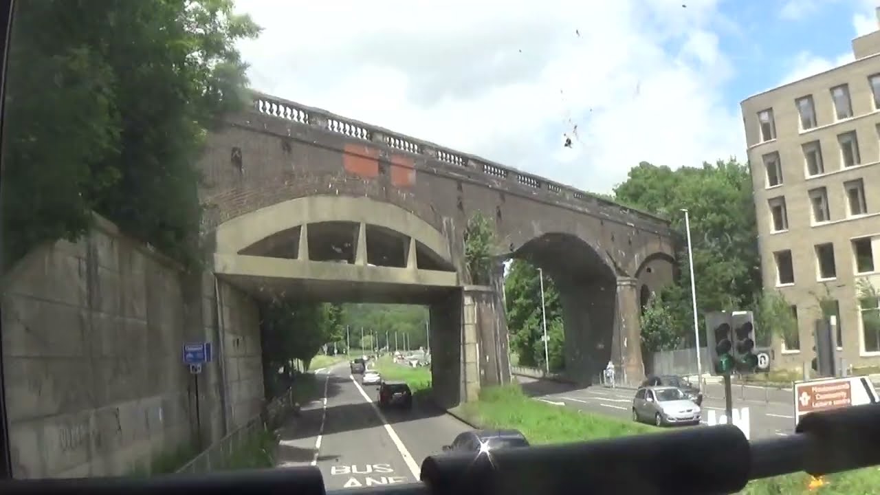 Foxy having a ride on Brighton and Hove bus route 29 in East Sussex, 26th June 2022 pt2