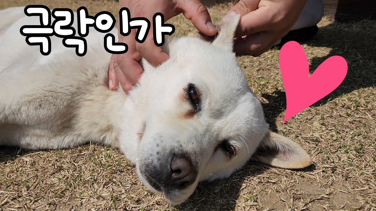 사람과 함께 살아가는 방법을 배우는 중입니다