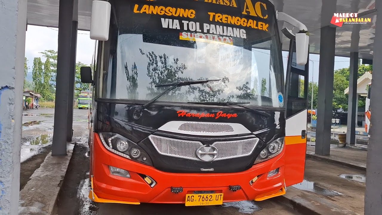 AKHIRNYA SETELAH BG 7935 DIKELUARKAN‼️HJ 7662 IKUT DIKELUARKAN, MEMAKSA BAGONGNYA TIDAK BISA PARKIR