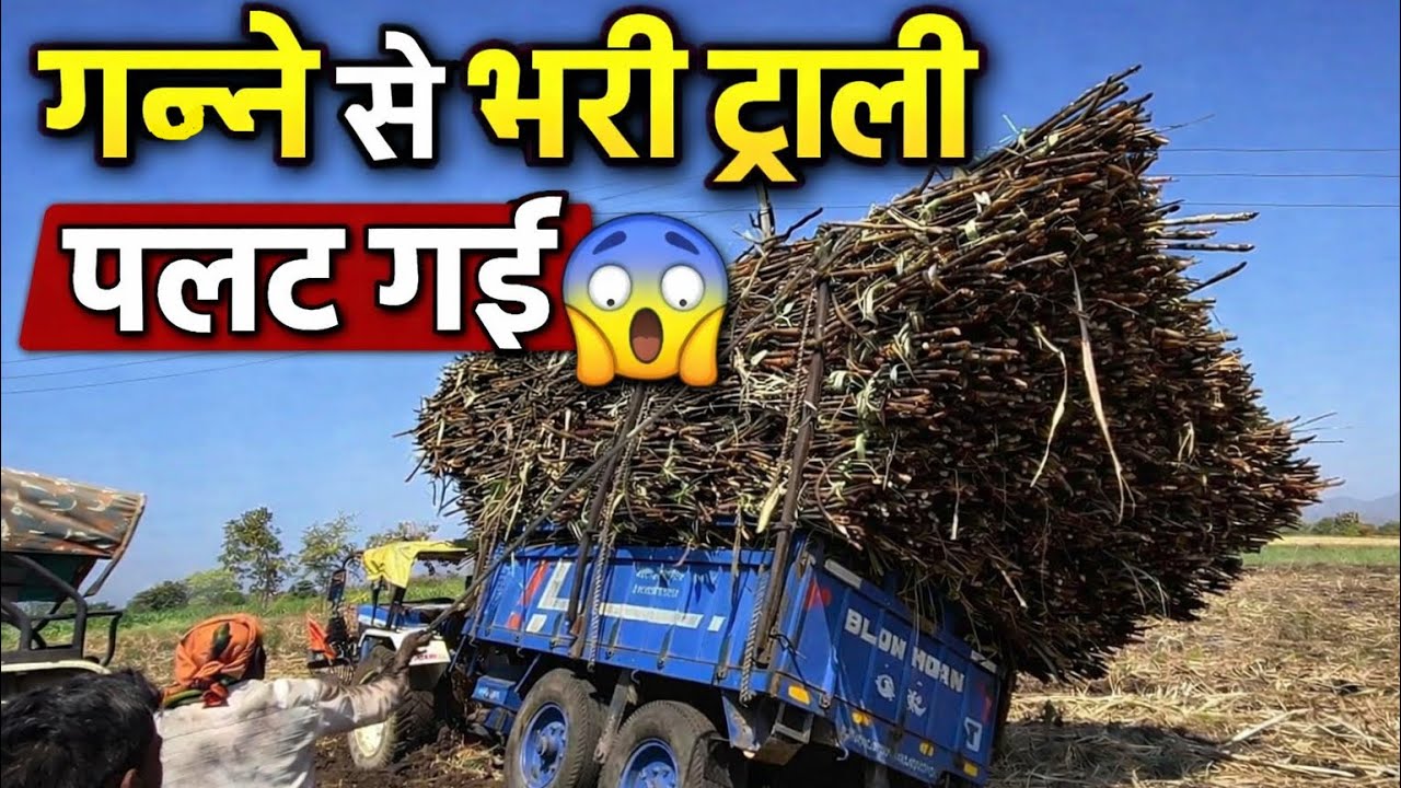 गन्ने से बरी ट्राली पलट गई 😱 Ganne Se Bari Trali Palat Gai 😱🚜#tractortrali #farming #ganna #accident