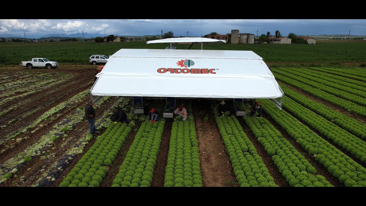 9800 Self-propelled Harvester for large-scale manual Harvesting – Ortomec