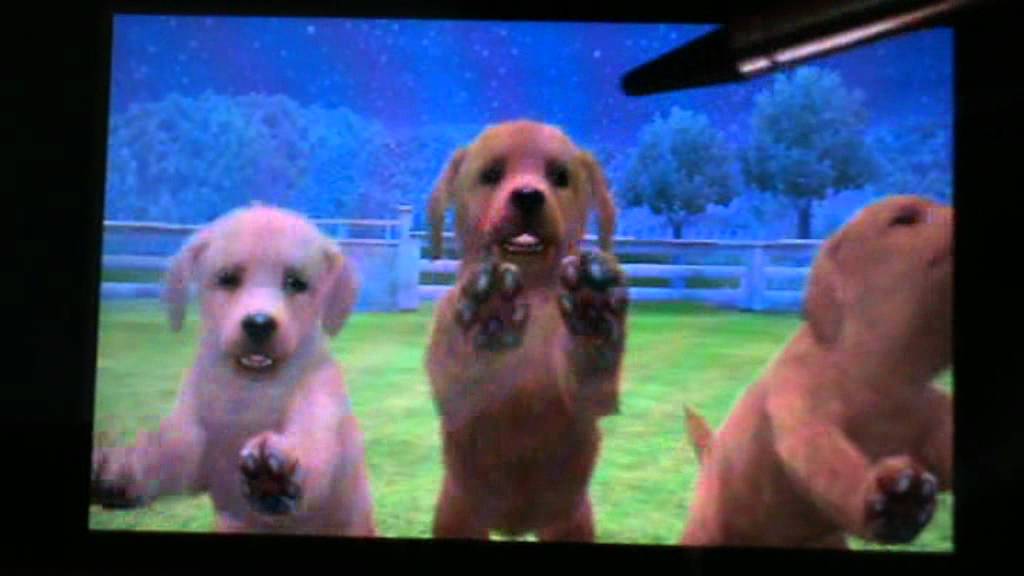 nintendogs + cats special race les labradors