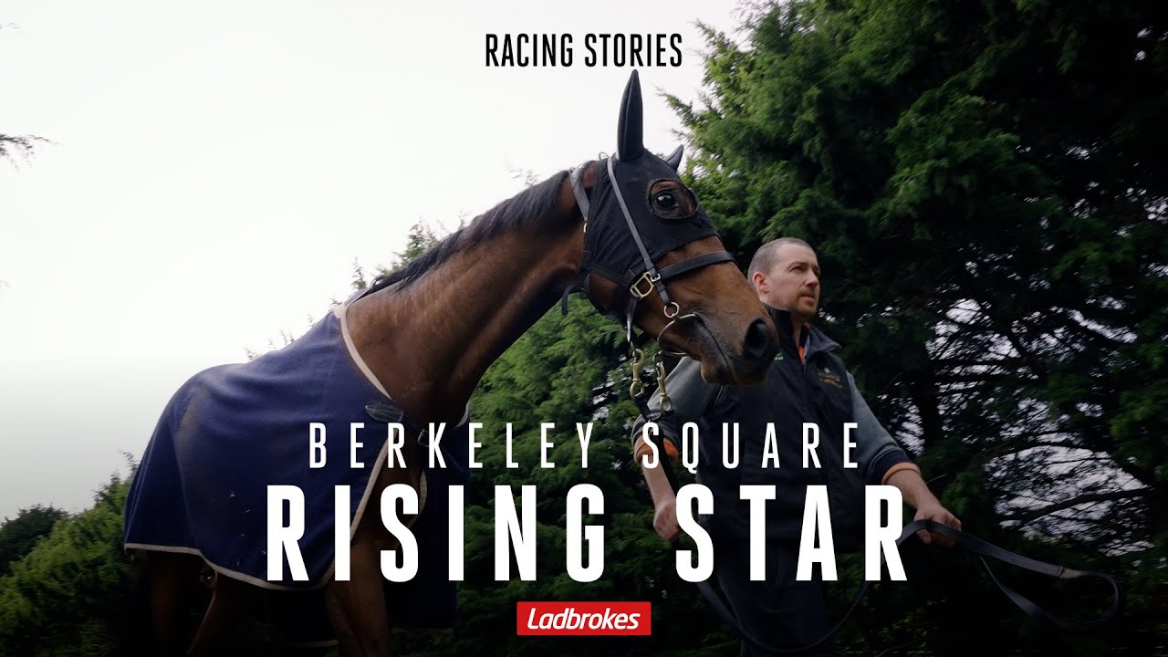 Berkeley Square Is Chasing A Group 1 Victory In The Caulfield Guineas For Trainer Dan O'Sullivan