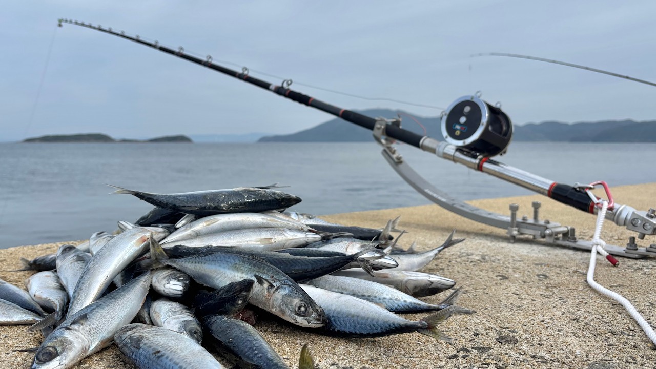 【クエ釣り】&rdquo;堤防でクエ連発!?&rdquo; 釣りの聖地長崎県で堤防釣りキャンプ!!