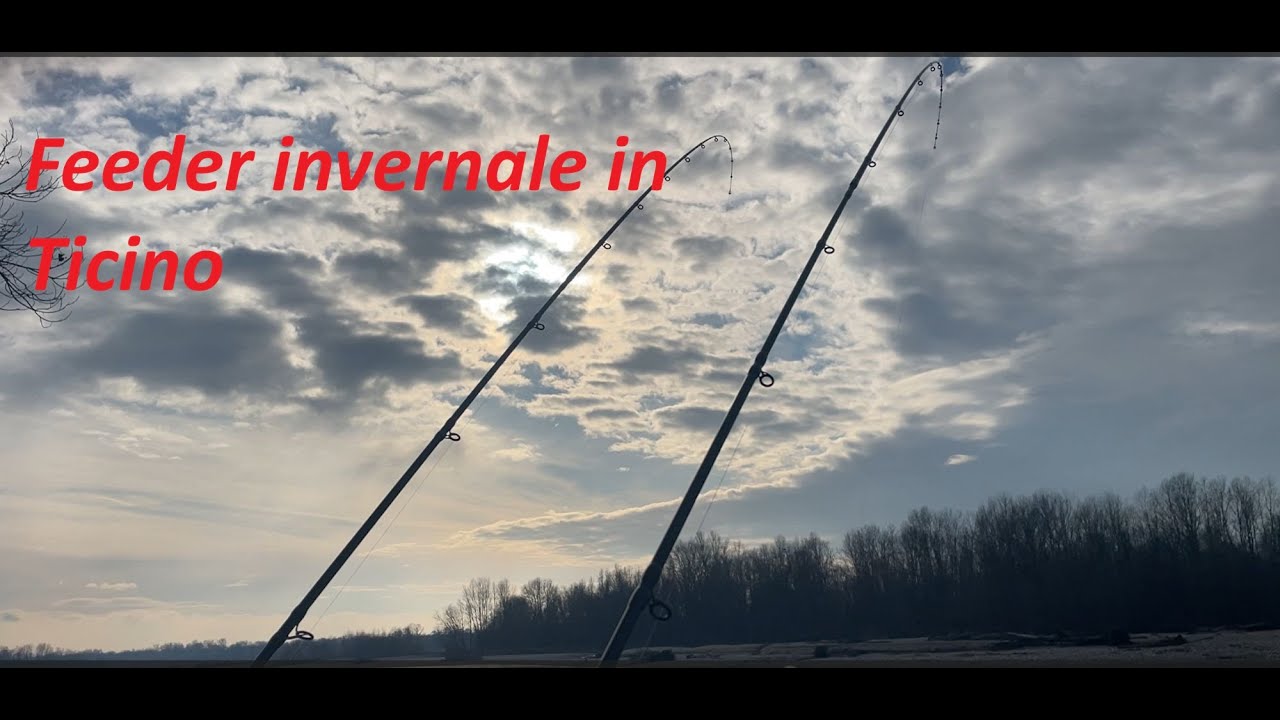 Feeder invernale in Ticino