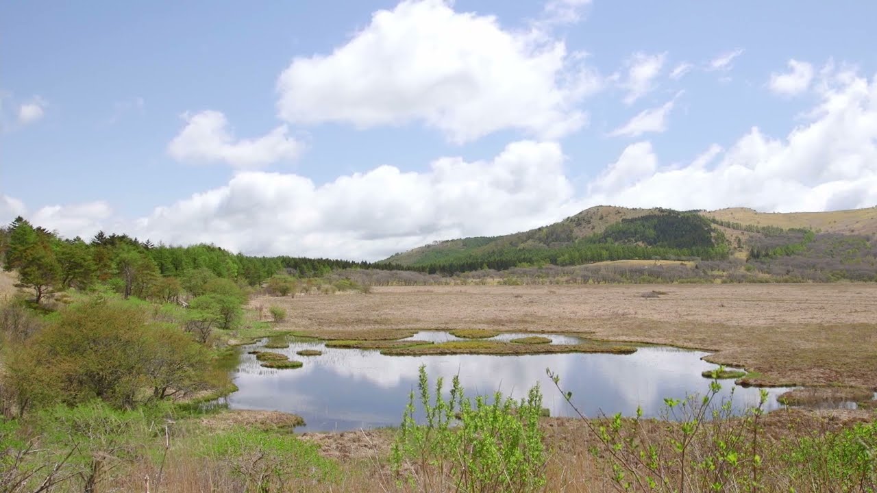 八島ヶ原湿原【BGMなし同時録音環境音】