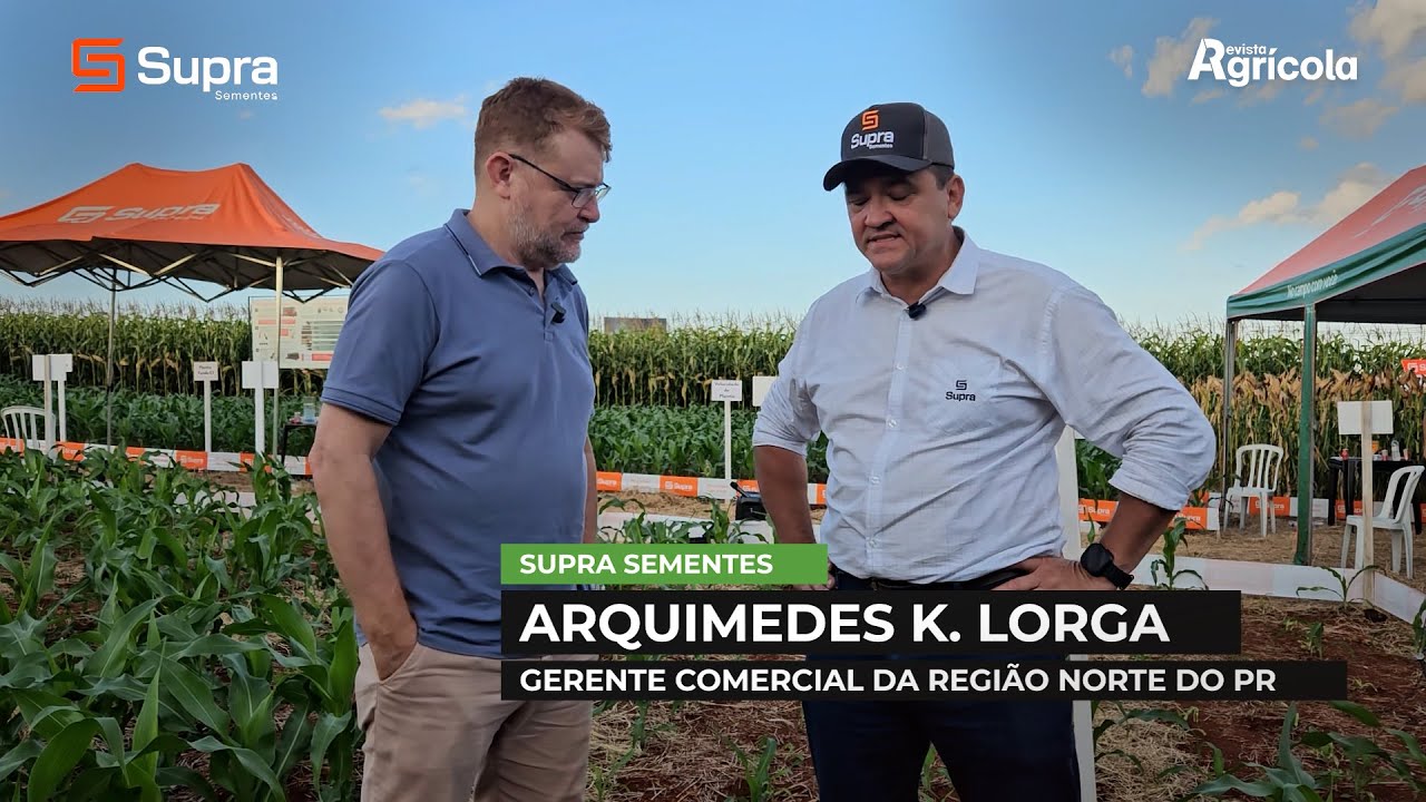 SUPRA SEMENTES | Arquimedes K  Lorga, Gerente Comercial da região Norte do PR