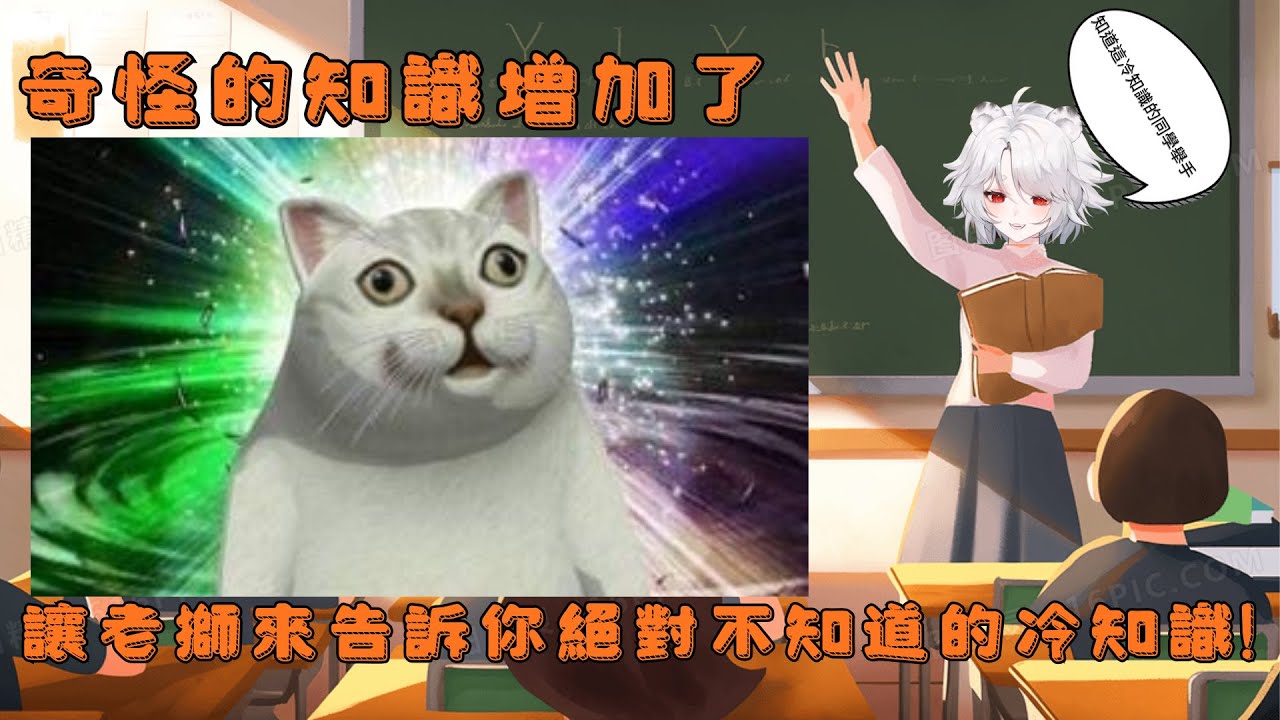 【海克莉獅雜談精華】這冷知識雖然你用不到 但還是要讓你知道!! EP.1 #雜談 #台灣Vtuber