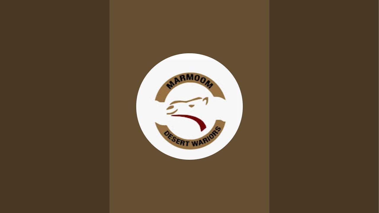 Marmoom Dessert Warriors is live