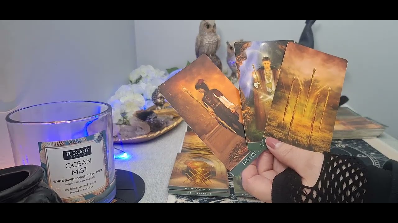    Hay un limite, te espía está obseaionad@. Quiere tú regreso pero tú estas mas que molest@ 