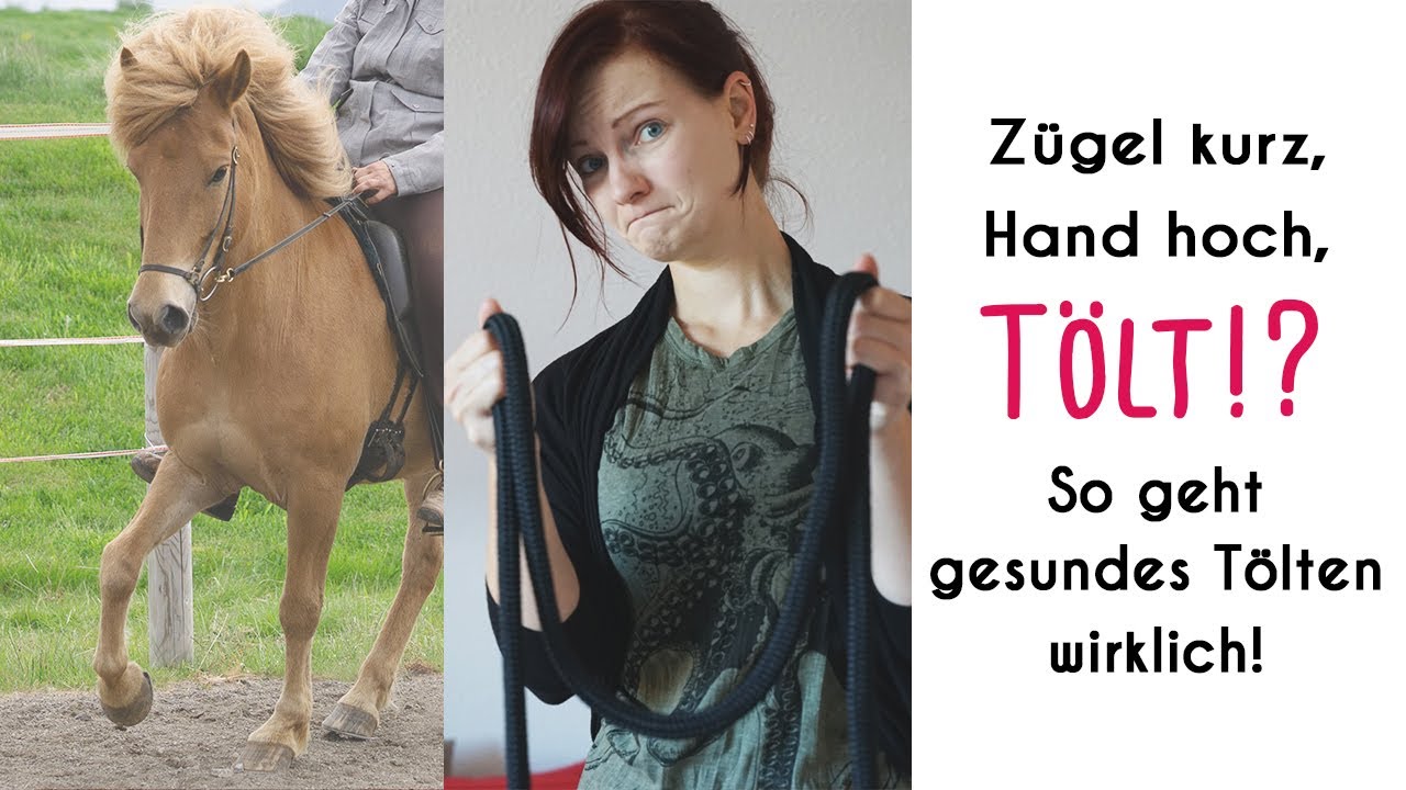 TÖLT reiten: So töltest Du Dein Pferd gesund und pferdegerecht!