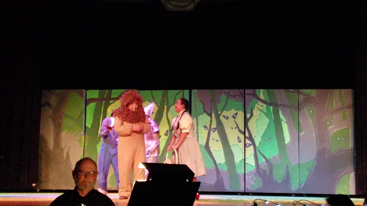My son the Lion (Wizard of Oz, High School Musical)