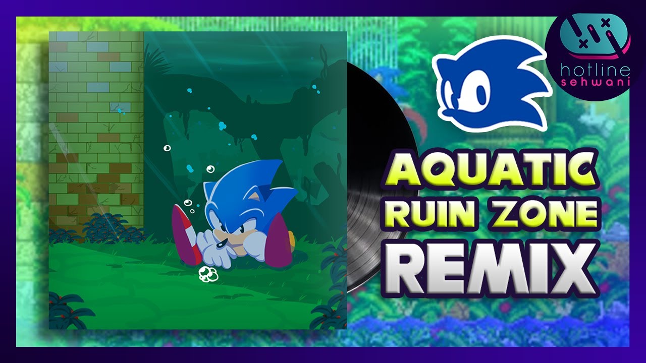 Aquatic Ruin Zone Sonic Synthwave Sonic 2 Hotline Sehwani Remix