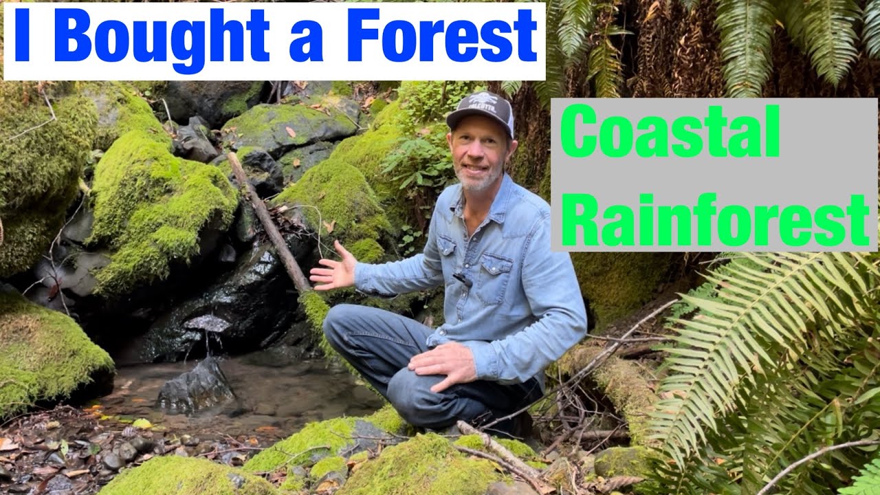 Buying Forest Land Property. A Source of Logs for my Woodmizer LT15 Sawmill and Firewood.