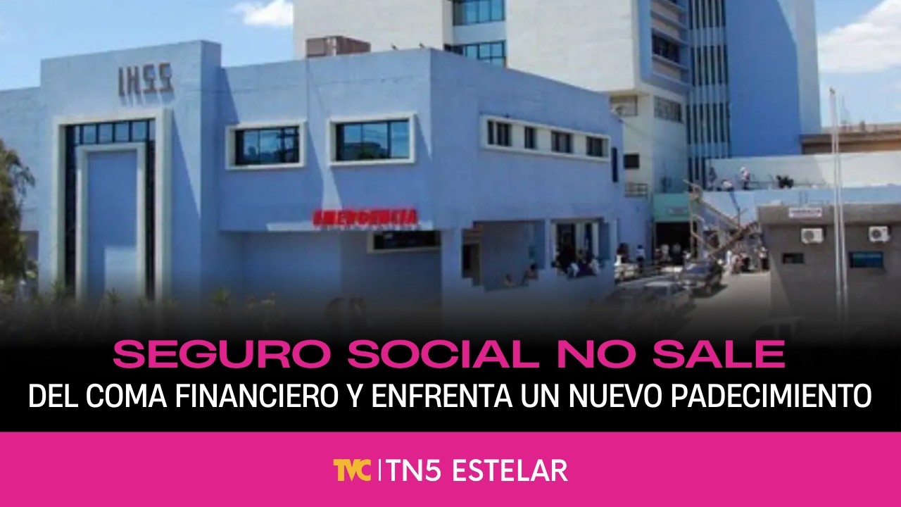 TN5 Estelar - Viernes 20 de febrero 2026