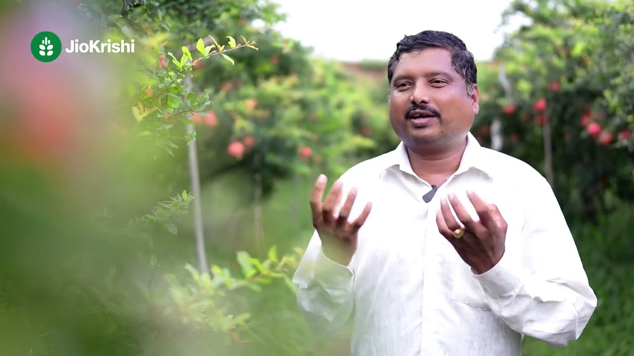 JioKrishi IoT तंत्रज्ञानामुळे डाळिंब बागेत क्रांती: प्रगत शेतीची यशोगाथा!