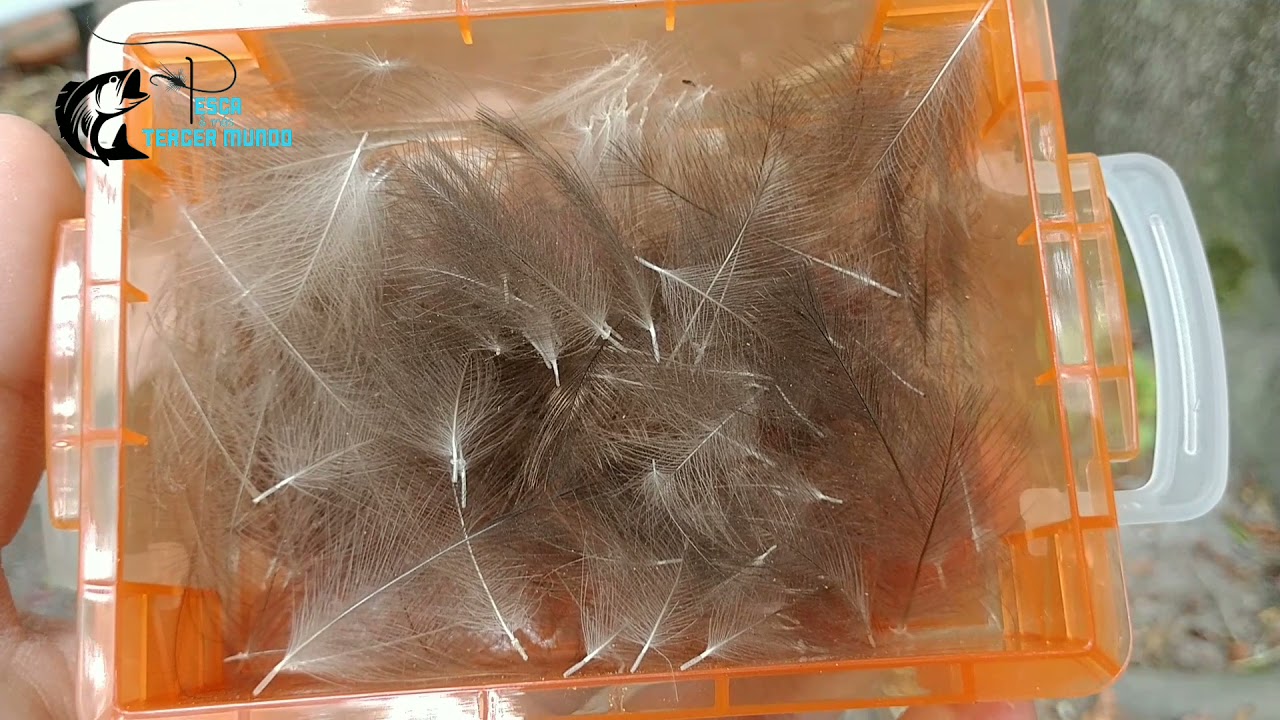 Pluma de Cul de Canard para pescar, de donde se sacan.
