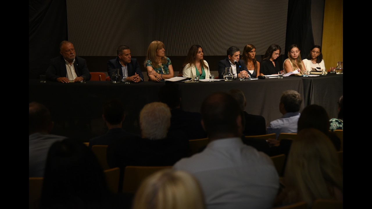 Audiencia Pública: 25/02/2026