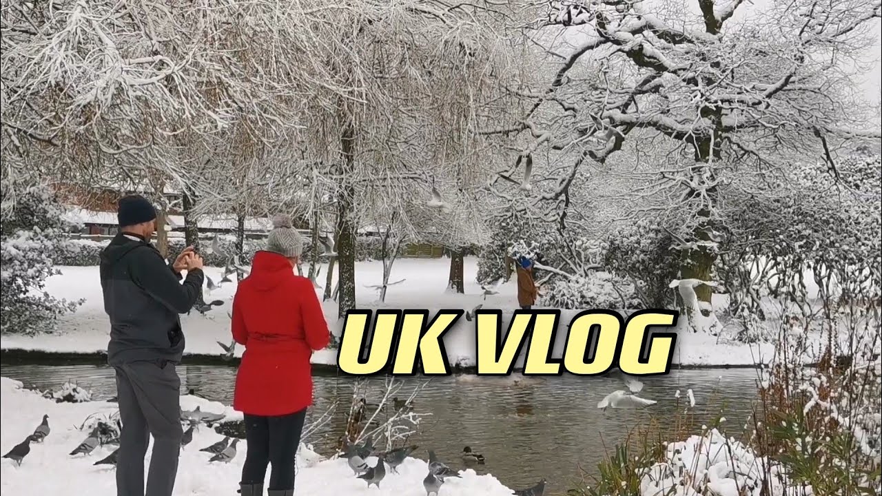 [UK VLOG] Amazing nature England 🏴󠁧󠁢󠁥󠁮󠁧󠁿 Woodland play 