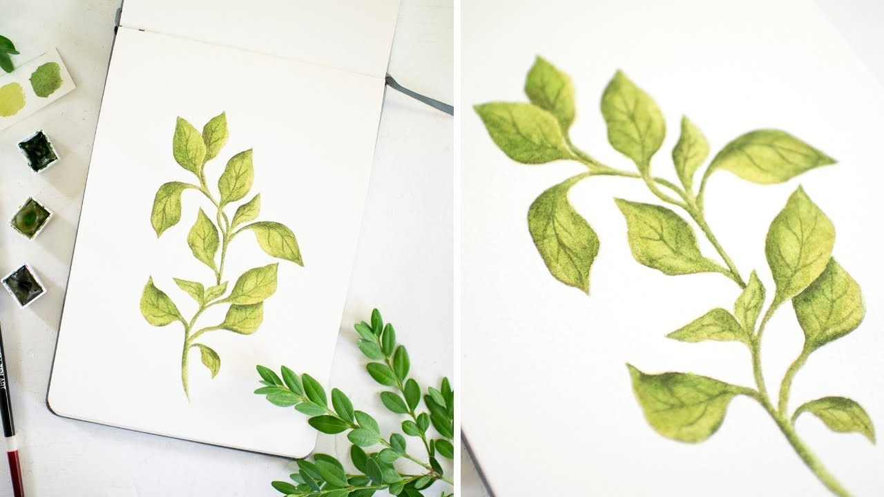 How to Paint Watercolor Basil Herb | Food Illustration | Watercolor Herbs Tutorial