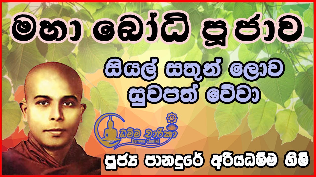 මහා බෝධි පූජාව  | Ven Panadure Ariyadhamma Thero | පූජ්‍ය පානදුරේ අරියධම්ම හිමියන්