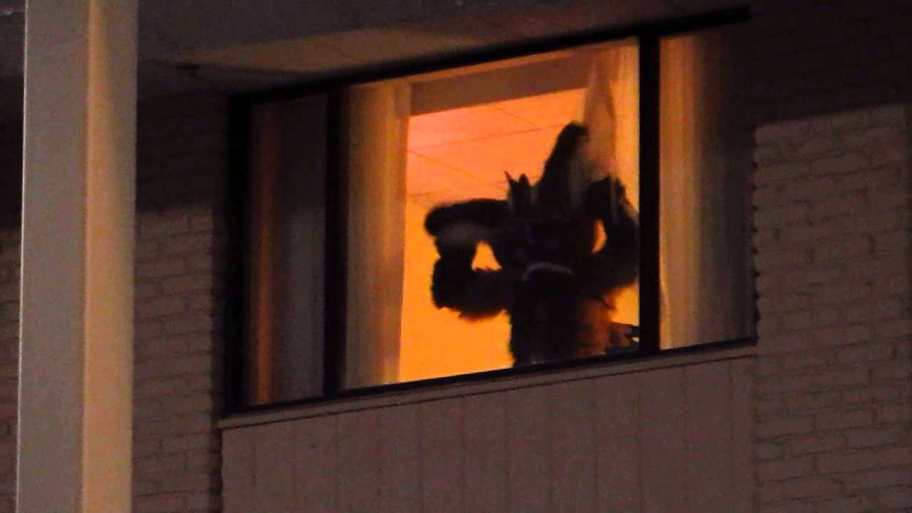 FurFright 2013: Young Telephone