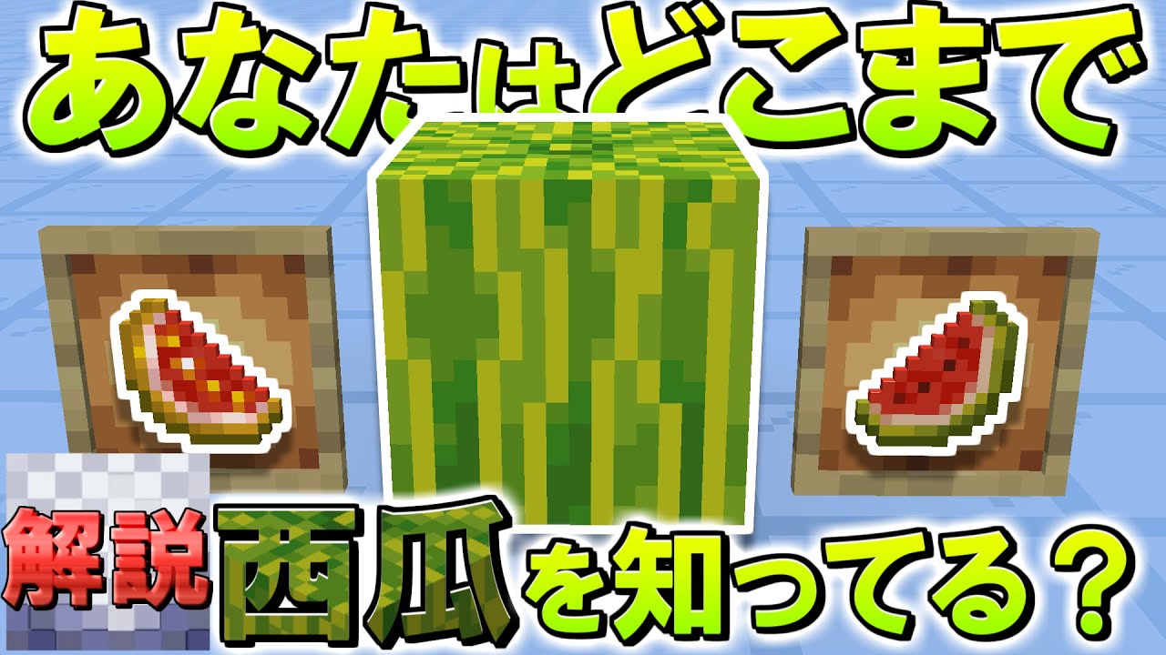 【解説】スイカのshort動画を掘り下げる動画