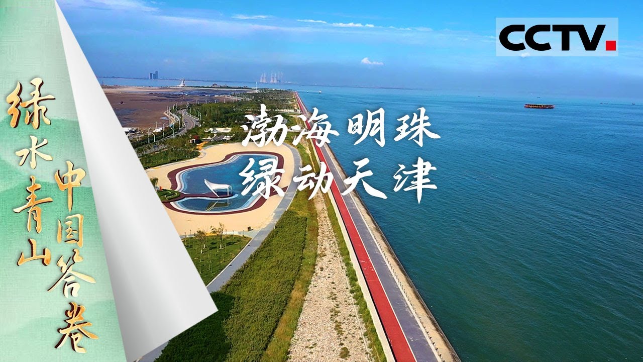 《绿水青山中国答卷》渤海明珠 绿动天津：大沽口炮台见证巨变！天津港腾飞 尽显中国开放自信！【CCTV纪录】
