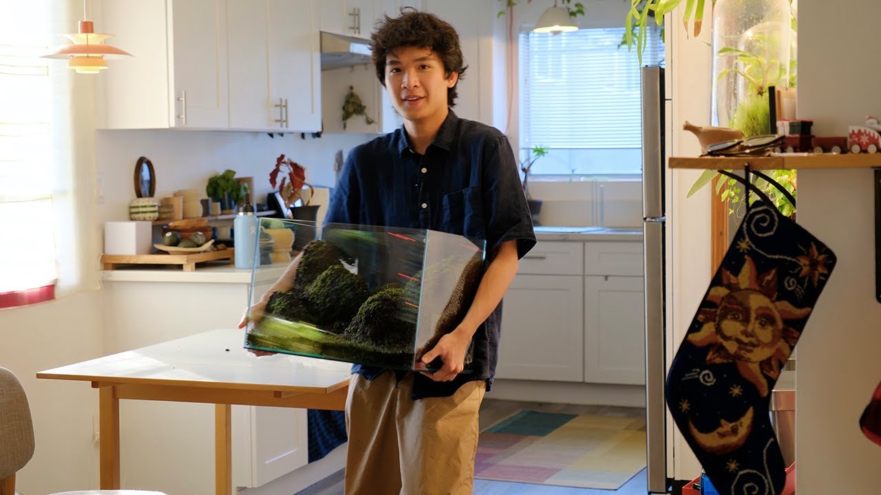 Bookshelf Moss Terrarium | making a terrarium in my bookshelf