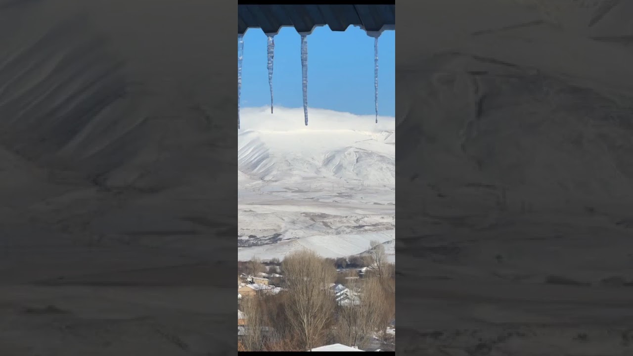 Բռնակոթ