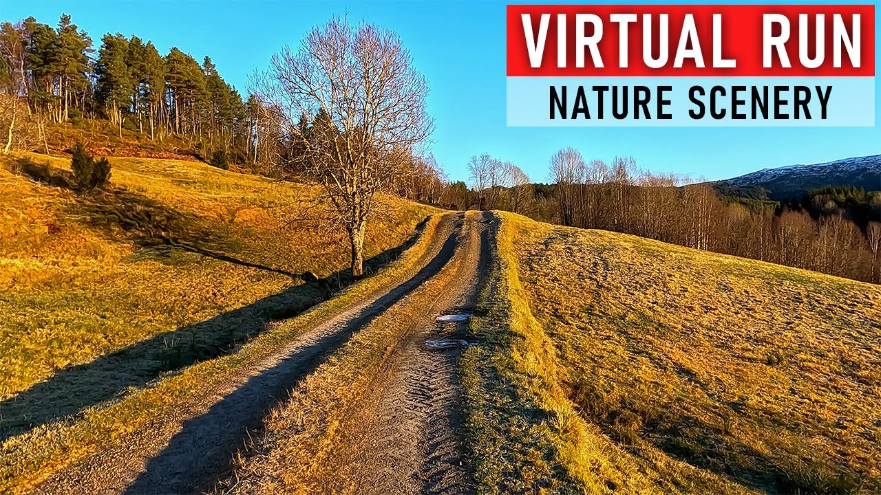 Virtual Run in Stunning Norwegian Nature | Icy Gravel Paths & Crunchy Ground 🏃‍♂️❄️